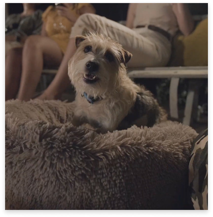 Screenshot 2025-04-29 at 15.20.31 2