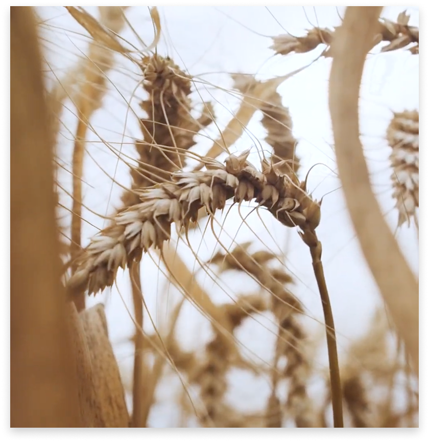 Screenshot 2025-04-29 at 15.34.21 2